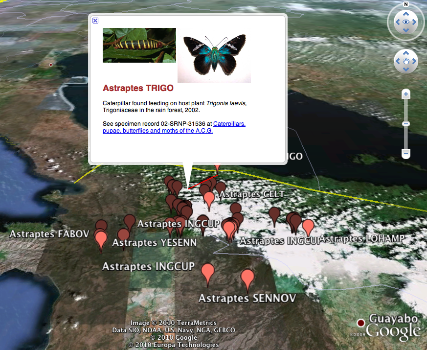 custom balloons kml in Google Earth