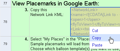 copy the network link KML