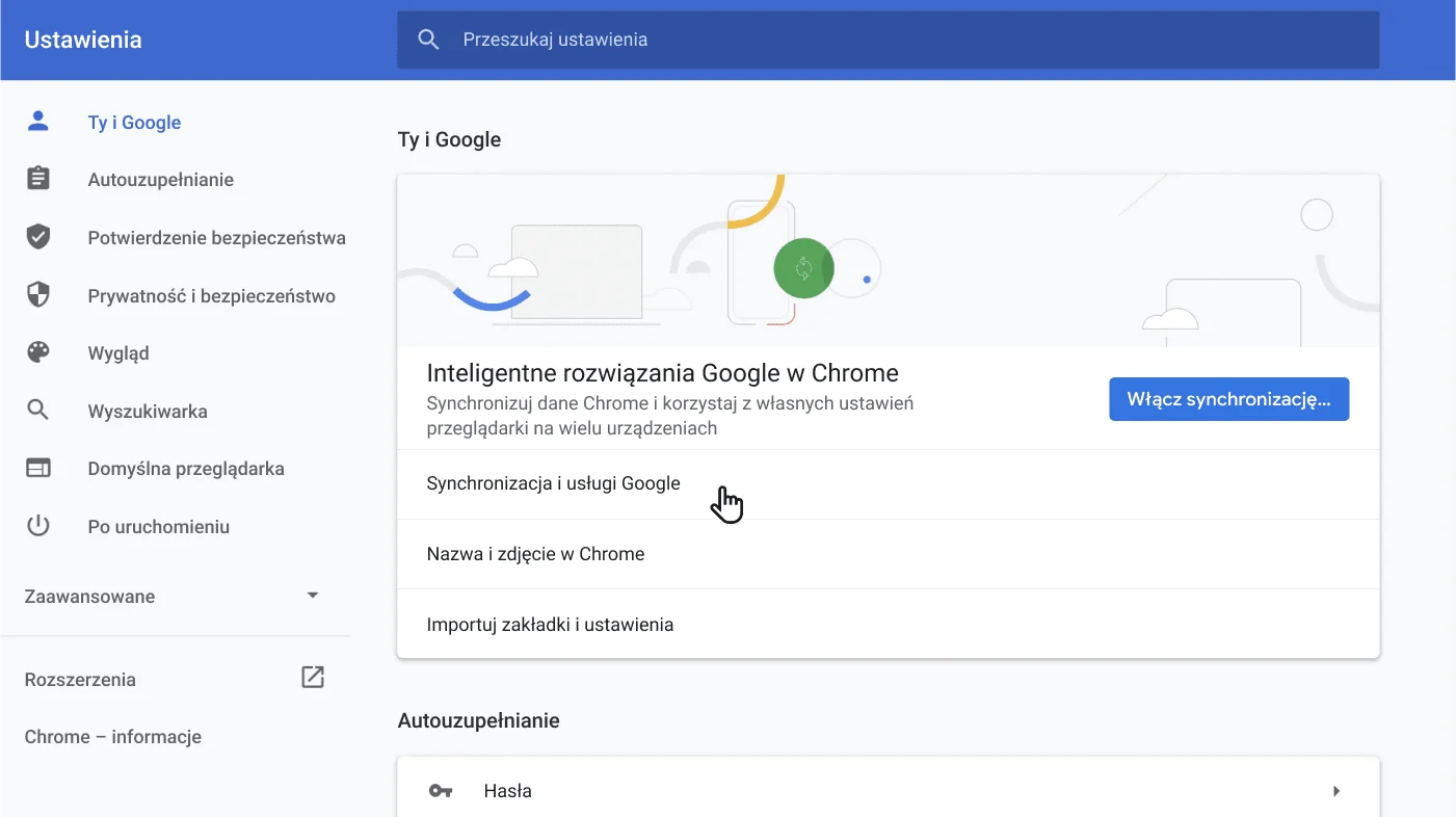 Okno ustawień przeglądarki Chrome pokazujące menu opcji Ty i Google.
